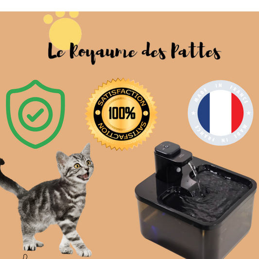 Fontaine à eau sans fil en acier inoxydable pour animaux de compagnie