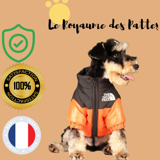 Manteau réflechissant pour chien