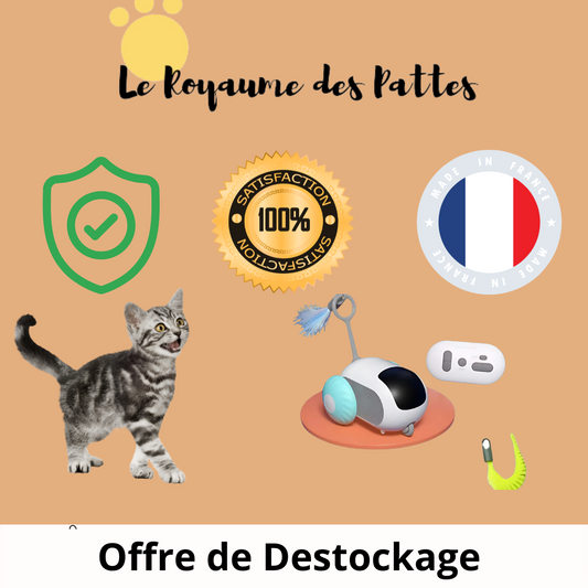 Jouet voiture interactive chat