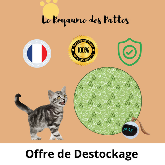 Jouet Interactif Pour Chat