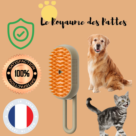 Brosse à vapeur 3 en 1 pour animaux de compagnie