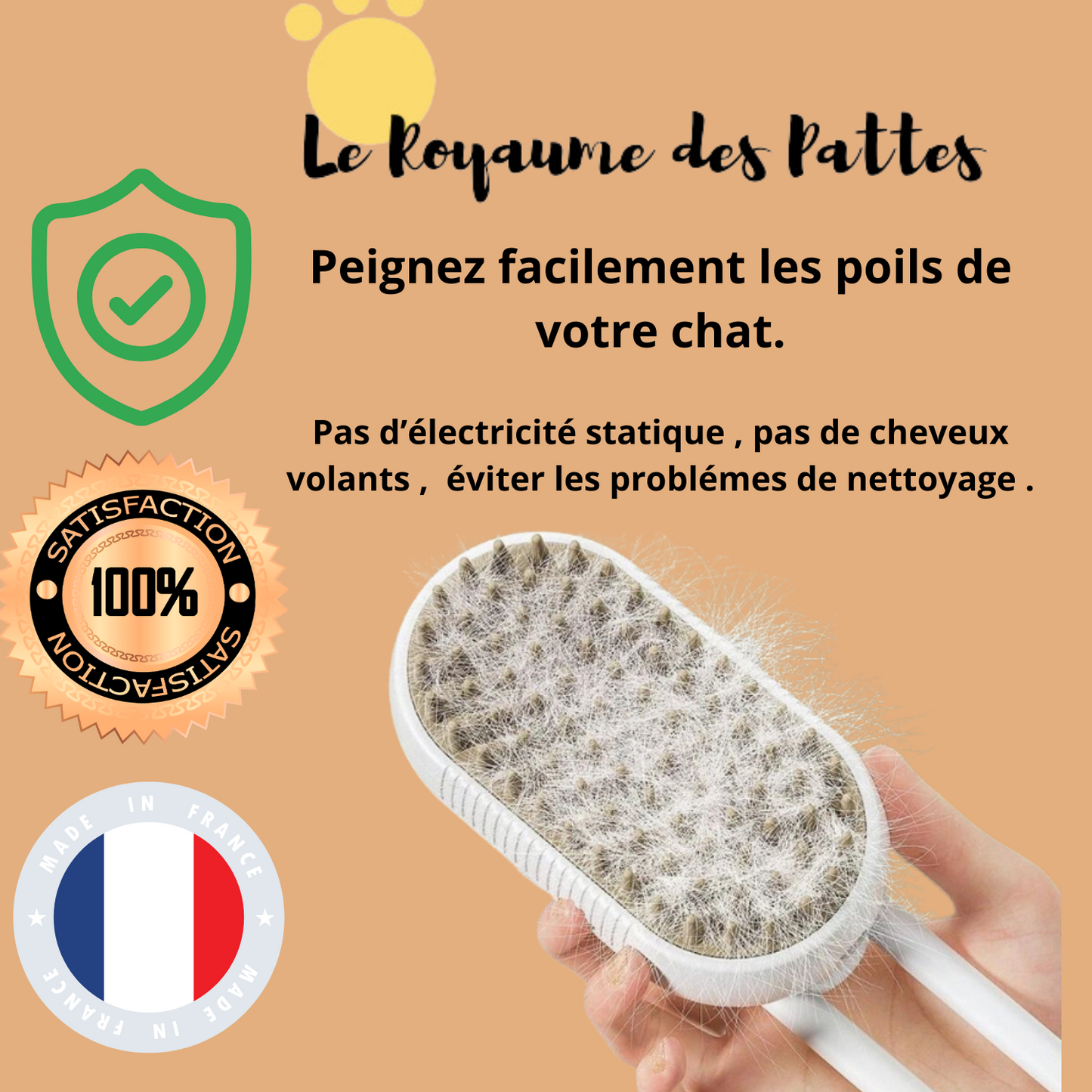 Brosse à vapeur 3 en 1 pour animaux de compagnie