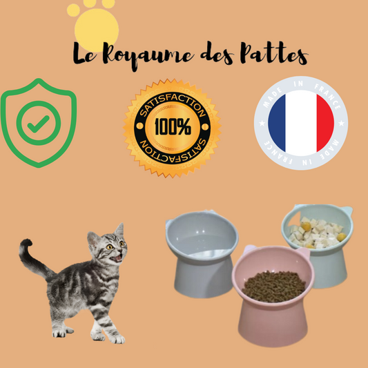 Gamelle pour chat incliné anti vomissement