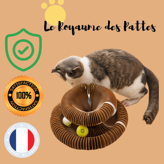 Jouet interactif pour chat avec balle